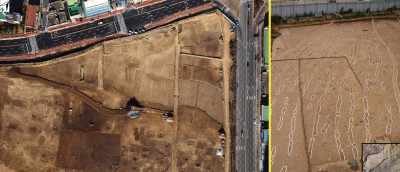 Figure 4. Three Kingdom-period rice paddy fields at Pyeonggeo-dong locality 3-1; aerial view and a patch showing human (outlined in blue) and cattle (in yellow) footprints alongside plough marks (in white); a close-up view of the footprints is provided via the inset.